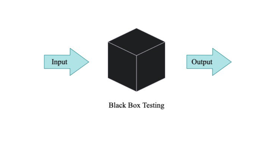 Black Box Technique