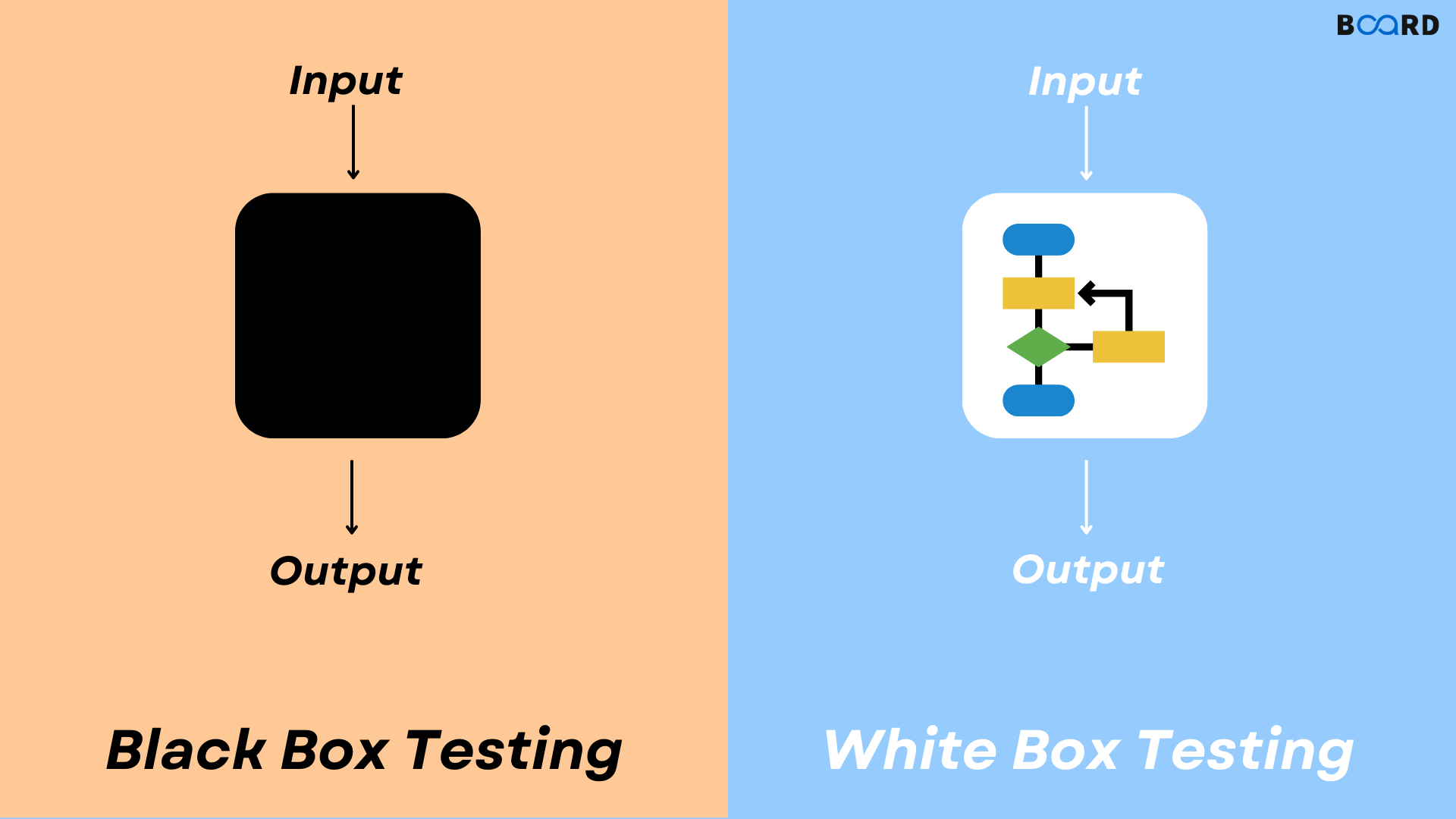 Black Box and White Box Testing in Software Development